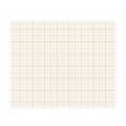 Clairefontaine Velijn Ruitjespapier - 500 x 650 mm - 50 stuks