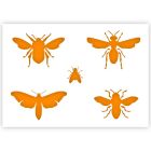 Insecten Sjabloon in 3 maten