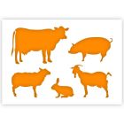 Boerderij Dieren Sjabloon in 3 maten