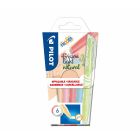 Pilot FriXion light natural markerset van 6