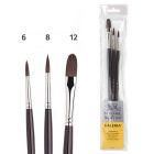 Winsor & Newton Galeria Acrylverf Penselen set van 3 stuks