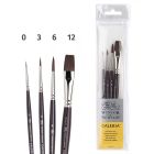 Winsor & Newton Galeria Acrylverf Penselen set van 4 stuks