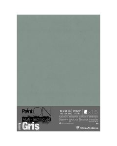 Clairefontaine Paint'ON Grijze 50x65cm Sheets