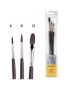 Winsor & Newton Galeria Acrylverf Penselen set van 3 stuks